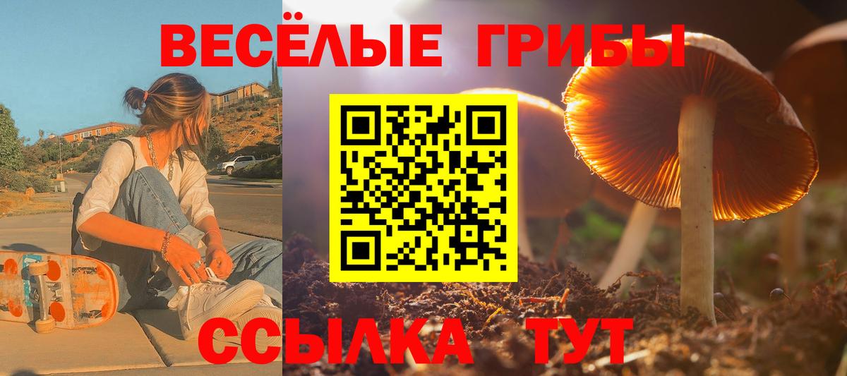 Псилоцибиновые грибы Psilocybe  Псилоцибиновые грибы MAGIC MUSHROOMS  Сертолово  Вход с VPN 